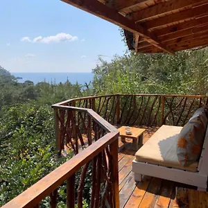 https://bamboo-bungalow-with-sea-view-in-kabak-bay-oludeniz.turkeyfethiyehotels.com